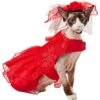 Frisco Red Ruffle Dog & Cat Dress + Headpiece -Pawfect Care 707286 MAIN. AC SS1800 V1689341622