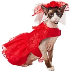 Frisco Red Ruffle Dog & Cat Dress + Headpiece