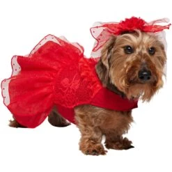 Frisco Red Ruffle Dog & Cat Dress + Headpiece -Pawfect Care 707286 PT2. AC SS1800 V1689355022