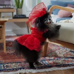 Frisco Red Ruffle Dog & Cat Dress + Headpiece -Pawfect Care 707286 PT7. AC SS1800 V1689351702