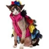 Frisco Ruffle Party Dog & Cat Dress + Headpiece -Pawfect Care 707350 MAIN. AC SS1800 V1689277841
