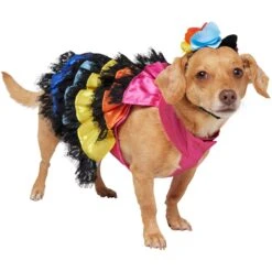 Frisco Ruffle Party Dog & Cat Dress + Headpiece -Pawfect Care 707350 PT2. AC SS1800 V1689278779