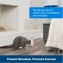 PetSafe Bolt Interactive Laser Cat Toy -Pawfect Care 70843 PT5. AC SS1800 V1676317808