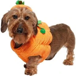 Frisco Pumpkin Ball Dog & Cat Costume -Pawfect Care 708902 PT2. AC SS1800 V1689351041