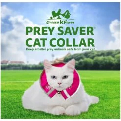 Prey Saver Break Away Cat Collar, One Size -Pawfect Care 710062 PT2. AC SS1800 V1668809602
