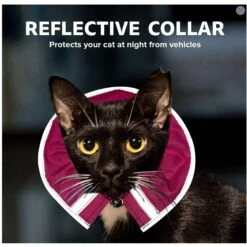 Prey Saver Break Away Cat Collar, One Size -Pawfect Care 710062 PT4. AC SS1800 V1668809602