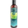 Bio-Groom Natural Scents Lemongrass & Verbena Dog Shampoo, 8-oz Bottle -Pawfect Care 711022 MAIN. AC SS1800 V1677248570