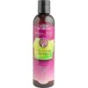 Bio-Groom Natural Scents Pink Jasmine Dog Shampoo, 8-oz Bottle -Pawfect Care 711054 MAIN. AC SS1800 V1677248633