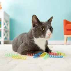 Ethical Pet Thin Colorful Springs Cat Toy -Pawfect Care 71298 PT8. AC SS1800 V1506968409