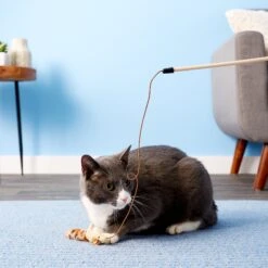 Ethical Pet Skinneeez Friend Teaser Wand Cat Toy With Catnip -Pawfect Care 71317 PT5. AC SS1800 V1525718914