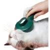 Fido Fave Self-Cleaning UV Sterilization Cat Slicker Brush, Green, Medium -Pawfect Care 715022 MAIN. AC SS1800 V1669397226