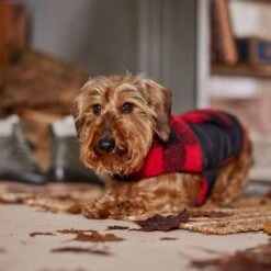 Frisco Reversible Medium Weight Boulder Plaid Dog & Cat Coat -Pawfect Care 717846 PT7. AC SS1800 V1692375977