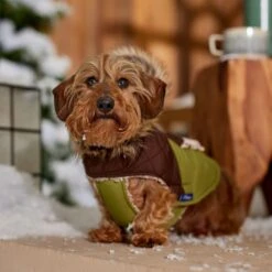 Frisco Heavy Weight 2-Tone Sherpa Lined Hybrid Quilted Dog & Cat Parka -Pawfect Care 718038 PT7. AC SS1800 V1692378337