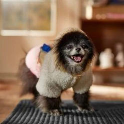 Frisco Colorblock Fleece Dog & Cat Hoodie W/ Pocket -Pawfect Care 718278 PT7. AC SS1800 V1692375977