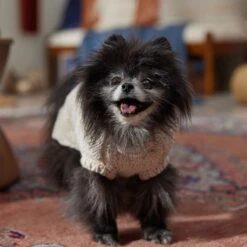 Frisco Sherpa Lined Chunky Cable Knit Dog & Cat Sweater -Pawfect Care 718518 PT7. AC SS1800 V1692378338