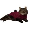 Frisco Cozy Textured Chenille Dog & Cat Sweater -Pawfect Care 718614 MAIN. AC SS1800 V1692380456