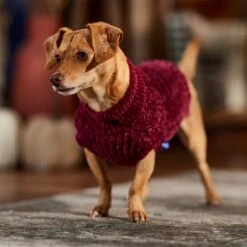 Frisco Cozy Textured Chenille Dog & Cat Sweater -Pawfect Care 718614 PT7. AC SS1800 V1692378337