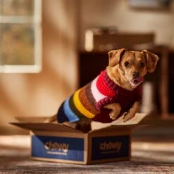 Frisco Chunky Knit Multi-Stripe Dog & Cat Sweater -Pawfect Care 718662 PT7. AC SS1800 V1692378219