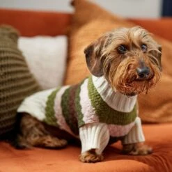 Frisco Bubble Knit Multi Striped Mock Neck Dog & Cat Sweater -Pawfect Care 718854 PT7. AC SS1800 V1692378688