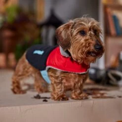 Frisco Medium Weight Retro Colorblock Mixed Media Dog & Cat Coat -Pawfect Care 719462 PT7. AC SS1800 V1692379031