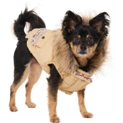 Frisco Heavy Weight Matte Quilted Dog & Cat Parka With Cozy Fleece Lining 13 Frisco Heavy Weight Matte Quilted Dog & Cat Parka With Cozy Fleece Lining -Pawfect Care 719654 PT2. AC SS1800 V1703184629