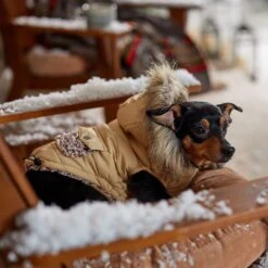 Frisco Heavy Weight Matte Quilted Dog & Cat Parka With Cozy Fleece Lining 18 Frisco Heavy Weight Matte Quilted Dog & Cat Parka With Cozy Fleece Lining -Pawfect Care 719654 PT7. AC SS1800 V1692376037