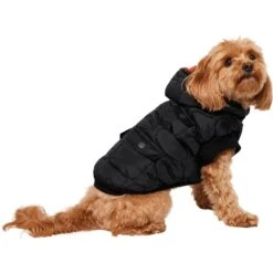 Frisco Heavy Weight Matte Quilted Volume Dog & Cat Puffer -Pawfect Care 719750 PT2. AC SS1800 V1703184628