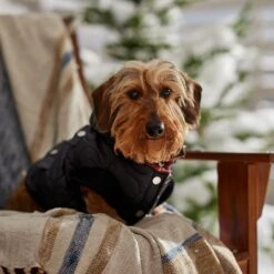 Frisco Heavy Weight Matte Quilted Volume Dog & Cat Puffer -Pawfect Care 719750 PT7. AC SS1800 V1692377763