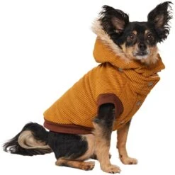 Frisco Heavy Weight Lux Corduroy Insulated Dog & Cat Coat With Fur Trimmed Hood -Pawfect Care 719966 PT2. AC SS1800 V1703184628
