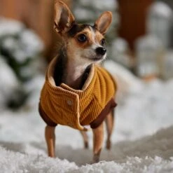 Frisco Heavy Weight Lux Corduroy Insulated Dog & Cat Coat With Fur Trimmed Hood -Pawfect Care 719966 PT7. AC SS1800 V1692377819