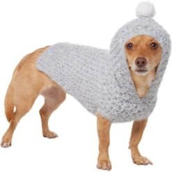 Frisco Heathered Chunky Dog & Cat Hooded Sweater -Pawfect Care 720454 PT2. AC SS1800 V1703194382