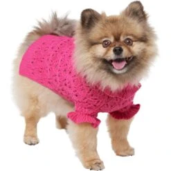 Frisco Ruffle Knit Pointelle Dog & Cat Turtleneck Sweater -Pawfect Care 720646 PT2. AC SS1800 V1703194381