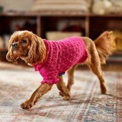 Frisco Ruffle Knit Pointelle Dog & Cat Turtleneck Sweater -Pawfect Care 720646 PT7. AC SS1800 V1692379033