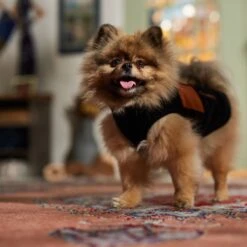 Frisco Light Weight Leopard Print Lined Fleece Dog & Cat Vest -Pawfect Care 720694 PT7. AC SS1800 V1692378099