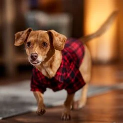 Frisco Red Tartan Plaid Dog & Cat Flannel Shirt -Pawfect Care 720790 PT7. AC SS1800 V1693401090