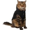 Frisco Quilted Fleece Dog & Cat Pullover Hoodie -Pawfect Care 721030 MAIN. AC SS1800 V1692379897