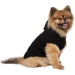 Frisco Quilted Fleece Dog & Cat Pullover Hoodie -Pawfect Care 721030 PT2. AC SS1800 V1703194381