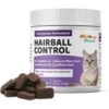 Wellnergy Pets Hairball Control Multivitamin Supplement For Cats, 70 Count -Pawfect Care 727526 MAIN. AC SS1800 V1673977881