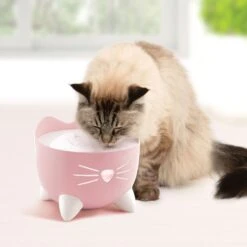 Catit Pixi Cat Drinking Fountain -Pawfect Care 727598 PT5. AC SS1800 V1669828533