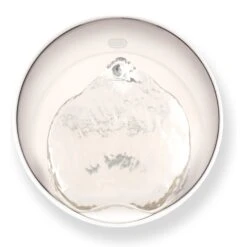 Catit Pixi Smart Stainless Top Cat Fountain Pump 10 Catit Pixi Smart Stainless Top Cat Fountain Pump -Pawfect Care 727662 PT2. AC SS1800 V1669829081