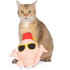 Fetch For Pets Friends Turkey Kicker Plush Cat Toy With Catnip -Pawfect Care 729198 PT3. AC SS1800 V1682627922