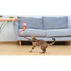 Fetch For Pets Friends Joey Loves Food Wand Cat Toy With Catnip 11 Fetch For Pets Friends Joey Loves Food Wand Cat Toy With Catnip -Pawfect Care 729214 PT4. AC SS1800 V1682628495