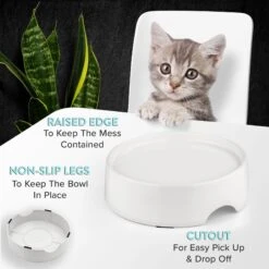 CatGuru Standard Cat & Dog Food Bowl, Marshmallow 11 CatGuru Standard Cat & Dog Food Bowl, Marshmallow -Pawfect Care 730910 PT3. AC SS1800 V1673016173