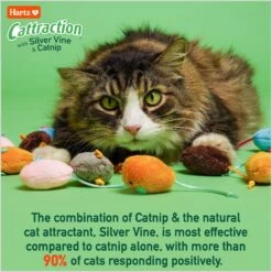 Hartz Cattraction Cat Toys With Catnip Variety Pack, 20 Count -Pawfect Care 731694 PT2. AC SS1800 V1676317085