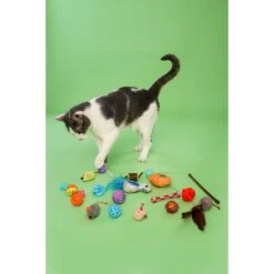 Hartz Cattraction Cat Toys With Catnip Variety Pack, 20 Count -Pawfect Care 731694 PT6. AC SS1800 V1670515418