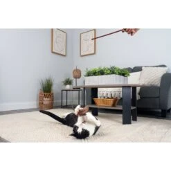 Hartz Cattraction Cat Toys With Catnip Variety Pack, 20 Count -Pawfect Care 731694 PT7. AC SS1800 V1670516962