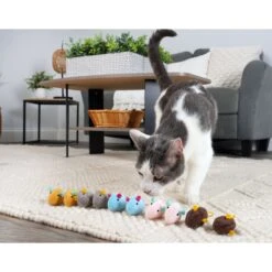 Hartz Cattraction Crinkle Mice Cat Toy, Multi Color, 10 Count -Pawfect Care 731710 PT7. AC SS1800 V1670450054