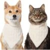 Frisco Solid Faux Fur Dog & Cat Bandana -Pawfect Care 733878 MAIN. AC SS1800 V1692379951