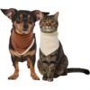 Frisco Reversible Cozy Knit Faux Fur Dog & Cat Pullover Bandana -Pawfect Care 733918 MAIN. AC SS1800 V1692380241