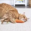 SmartyKat Crazy Carrot Flexible Bat & Chase Cat Toy -Pawfect Care 736862 MAIN. AC SS1800 V1698092832